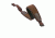 Vero Vellini Premium Leather/Neoprene Rifle Sling w/Uncle Mikes QD Swivels, Brown V17430