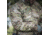 Vertx Integrity Base Jacket - Mens, MultiCam, 2XL, F1 VTX8840 MC 2XL REG