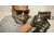 Viktos Accy Adaptable Mekong Face Mask, Camo, One Size, 2007701