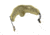 Viper Battleskin Modular A3 Head Protection System, Tan, Large 4-0509-5053