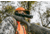Vortex Crossfire HD 2-7x32 mm 1 in Tube Rifle Scope, Second Focal Plane, V-Plex MOA, Black, 11.2, 14.7oz, CFR-2702