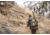 Vortex Razor HD 13-39x56 Spotting Scope, Angled, Green, RS-56A