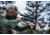 Vortex Razor HD LHT 3-15x50 mm Rifle Scope, 30 mm Tube, Second Focal Plane, Black, Matte Anodized, Red G4i MRAD Reticle, Mil Rad Adjustment, RZR-31503