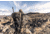 Vortex Ridgeview Carbon Tripod Kit, Black, 5x5x30, TR-RVC