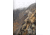 Vortex Summit Carbon II Tripod Kit, Black, 4.125x4.125x19.75, TR-SMC