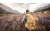 Vortex Summit Carbon II Tripod Kit, Black, 4.125x4.125x19.75, TR-SMC