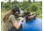 Vortex Venom 1-6x24 SFP AR-BDC3 30mm Tube Riflescope, Black, 14.375 x 3.5 x 3.75, VEN-1601