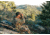 Vortex Viper HD 11-33x50 Spotting Scope Angled, Green, VPR-50A