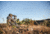 Vortex Viper HD 11-33x50 Spotting Scope Straight, Green, VPR-50S