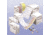 VWR CryoPro Labels V1266Y Rolls Of Labels Strips For 1.5-2mL Tubes