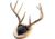 Walnut Hollow Antler Mount Kit