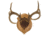 Walnut Hollow Deluxe Antler, Display Kit Oak 40755