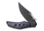 We Knife Co Ltd Magnetron Folding Knife, 3.76in, Carbon Steel, Titanium Handle, Rainbow, WE180584