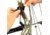 Wicked Hunting Lights A51iC 3-Color-In-1 Bow Hunting Light Kit, Green, Red, White, W2059