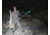 Wicked Hunting Lights W403iC Deluxe Night Hunting Light Kit, Green/Red/White, W2015