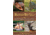 Wiley Publishing Scouting Guide To Tracking 9781510737730