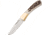 Winchester Knife 7'' Oal Fixed Ss/stag Handle W/sheath