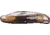Winchester Knives 3 5/8in, 3 Blade Serpentine Whittler w/ Wharncliff Master Blade and Stag Handle W 15 35097 S