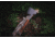 WOOX Terra Axe Walnut, WXA06001