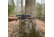 WOOX Wild Man Precision Stock - Savage Model 110, Right Hand, Short Action, Walnut, SH.GNS001.21
