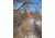 X-Stand Reflective Trail Markers, Orange, Pack of 10 XATR220