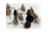 X-Stand Trail Tacks, Tree Blend, Pack of 50 XATR215