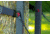 X-Stand TreeStands Champ 2.0 Tree Stand, 21 in, XSFP409