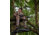 X-Stand TreeStands Falcon Tree Stand, 21 in, XSFP419