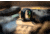 ZeroTech Optics Trace H.A.L.O 1x28mm Reflex Red Dot Sight, 3 MOA Dot Reticle, Green, Enclosed, Black, TRAE28G