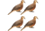 Zink Full Body Dove Decoys, 4 Pk, 1410678