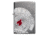 Zippo Armor Poker Chip Design Lighter w/ Click, Silver, One Size, 49058