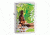 Zippo Buddha Lighter, Brushed Chrome 29058