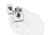 Zippo Spazuk Bird Design Matte Pocket Lighter, White, 29645