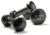 Zon Dumbbell - 10 lb. 062962