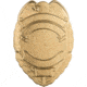 5.11 Tactical Tear Drop With Eagle Patch - Unisex, Gold, 1 SZ, 81038-326-1 SZ