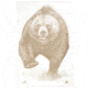 Action Target Alaska State Parks Bear Target, 23x35, 100 Per Box