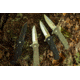 Al Mar Knives S.E.R.E. 2020 G Series Folding Knife, Liner Lock Spring Assist, D2, 58HRC, Satin, 3.6 in, Traditional, G10, Black, AMK2202