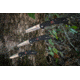 Al Mar Knives Ultralight Talon Folding Blade Knife, 2.75 in, 8 Cr Traditional Edge, Black, AMK4122