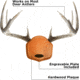 Allen EZ-Mount Showcase Horn Mount Kit, Oak, Deer, 5601