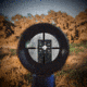 Allen EZ Aim Thermal ID Grid Bullseye Paper Target, 12in x 12in, Gray, 15795