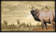 American Expedition Elk Canvas Art, 13 5/8in x 23 5/8in x 1 7/8in 602244