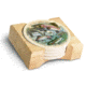 American Expedition Stone Coaster Set, Rainbow Trout Collage 4011963