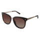 Ann Taylor AT510 Sunglasses - Frame Tortoise / Gold, Lens Color Dark Brown Gradient, Size 55/20mm TYAT51002