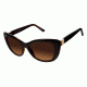 Ann Taylor ATP905 Prescription Sunglasses TYATP90501 - Frame Color Black/Tort