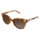 Ann Taylor SEASCAPE Progressive Prescription Sunglasses TYATSEASCAPE02 - Frame Color Vicuna