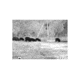 Armasight Command/Pro 640 2-16x42, 60Hz Thermal Imaging Bi-Ocular, FLIR Tau 2, 640x512 17 micron 60Hz Core, 42mm Lens TAT166BN4HELI21