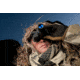 Armasight NYX-7C Gen 2+ Night Vision Goggles, High Def NKGNYX7C012MDH1