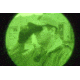 Armasight NYX-7C Gen 2+ Night Vision Goggles, High Def NKGNYX7C012MDH1