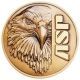 ASP Eagle Logo Cap, Brass 54101