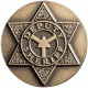 ASP Sheriff Logo Cap, Brass 54106